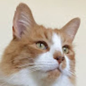 Meet your Posher, Joy